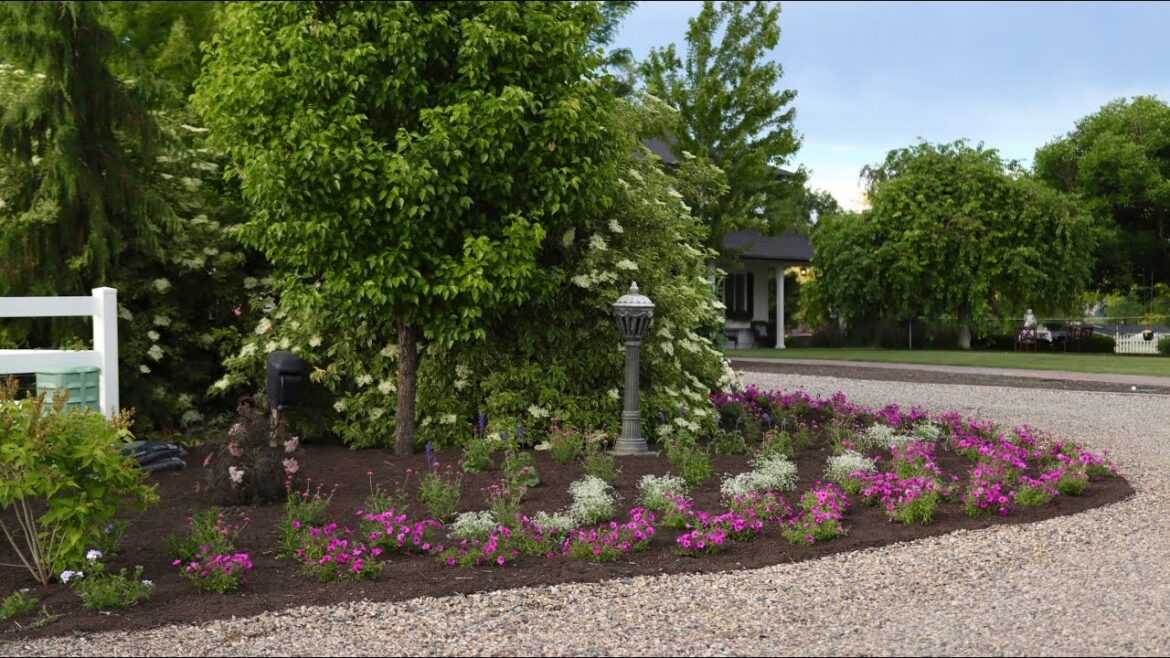 Creating a Very Bright and Vivid Flower Bed! 🌸🌿🌺
