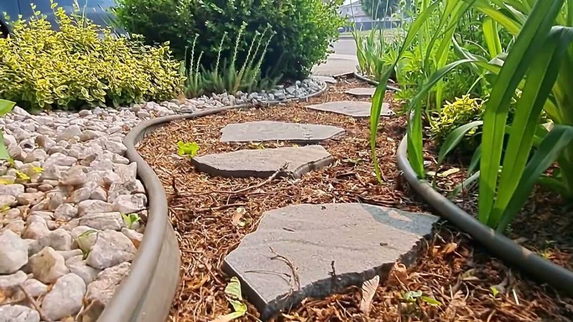 Perennial Garden Tour | The front yard that keeps giving | Zone 5A Canada #gardentour #garden #new Perennial Garden Tour | The front yard that keeps giving | Zone 5A Canada #gardentour #garden #new