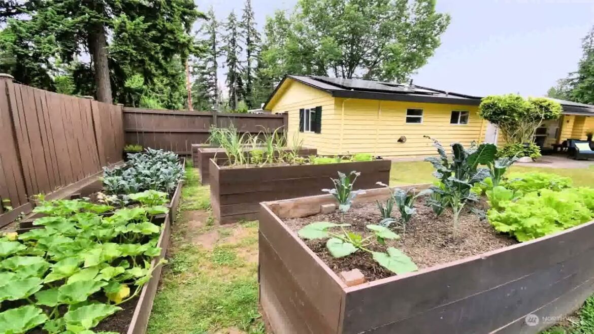 Backyard Landscaping Ideas Vegetable Garden