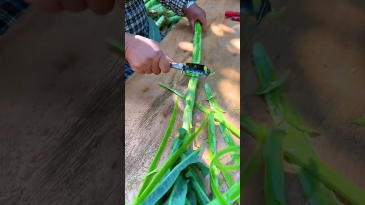 Dried Vegetable processing! #vegetables