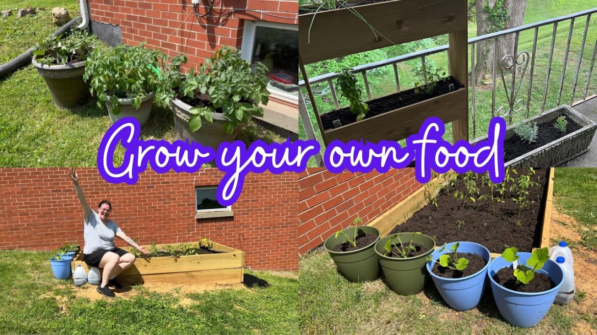 DIY Raised Bed + Container Gardening 👩🌾 || Beginner Gardener 2023 DIY Raised Bed + Container Gardening 👩🌾 || Beginner Gardener 2023