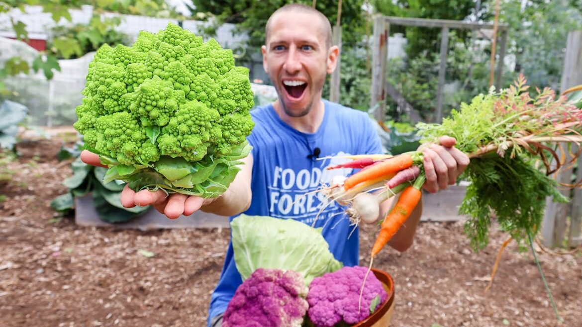 Permaculture Garden Harvest | Organic BACKYARD Gardening at it's Best