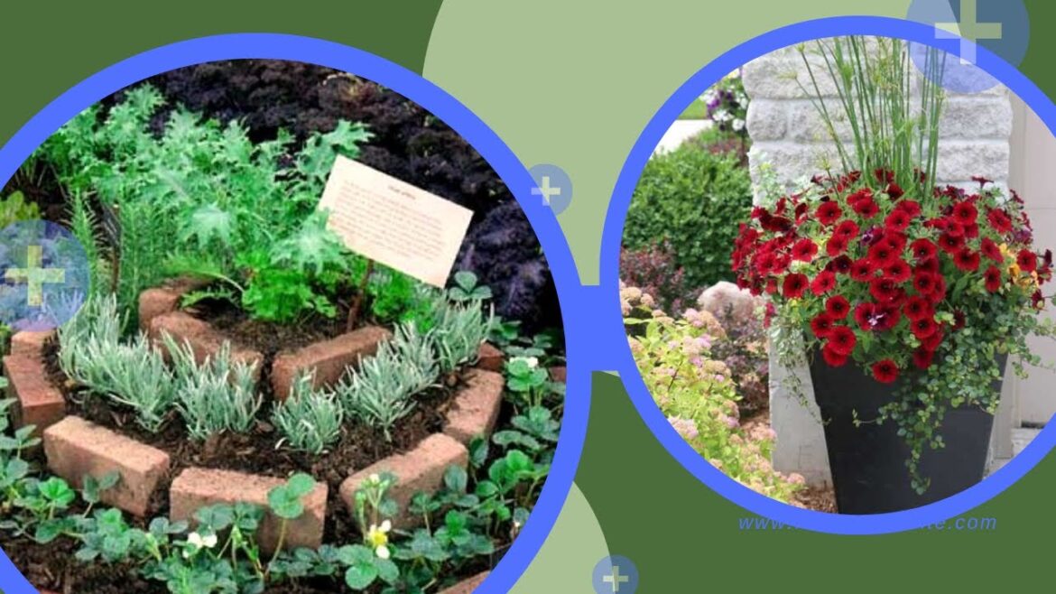 Why Incorporating Edible Flowers Adds Color and Flavor to Suburban and City Gardens