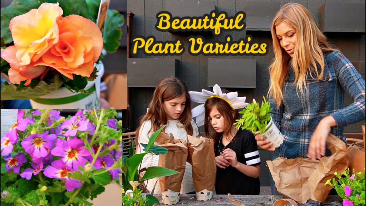 Beautiful Plant Varieties for this Year’s Container Gardening Projects Beautiful Plant Varieties for this Year's Container Gardening Projects