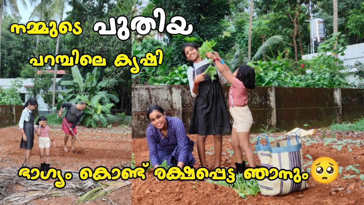 Injection എടുത്തതുകൊണ്ട് അപകടത്തിന്ന് ഞാൻ രക്ഷപ്പെട്ടു | അവൻ ഇങ്ങനെ ചെയ്യുമെന്ന് പ്രതീക്ഷിച്ചില്ല Injection എടുത്തതുകൊണ്ട് അപകടത്തിന്ന് ഞാൻ രക്ഷപ്പെട്ടു | അവൻ ഇങ്ങനെ ചെയ്യുമെന്ന് പ്രതീക്ഷിച്ചില്ല