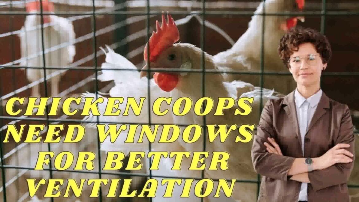 Home Garden Design Plan Chicken Coops