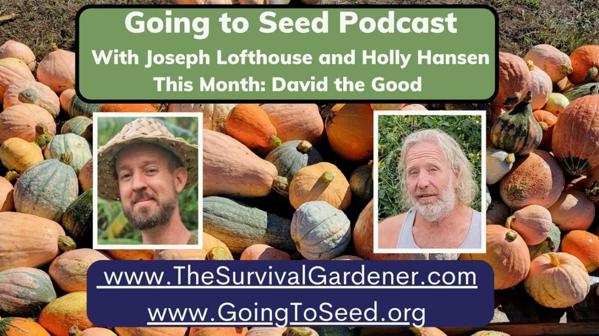 Joseph Lofthouse interviews David the Good Joseph Lofthouse interviews David the Good