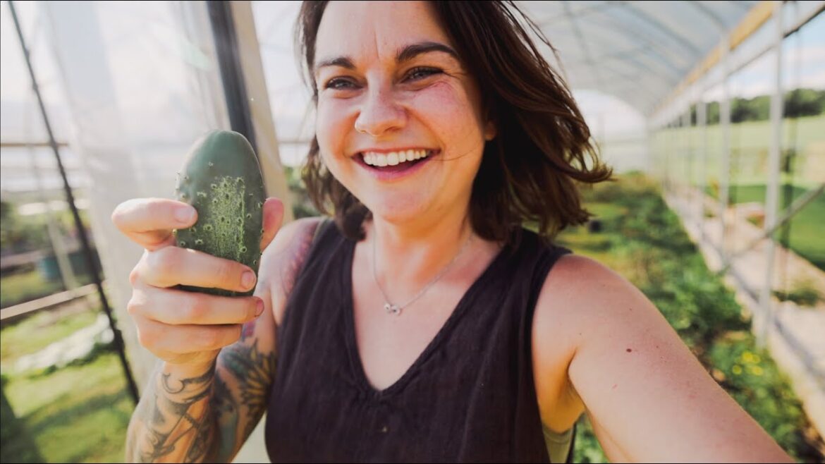 Roots and Refuge Farm: Healed Soil, Bonus Cukes and Tomato Redemption (Not quite a garden tour) | VLOG Healed Soil, Bonus Cukes and Tomato Redemption (Not quite a garden tour) | VLOG