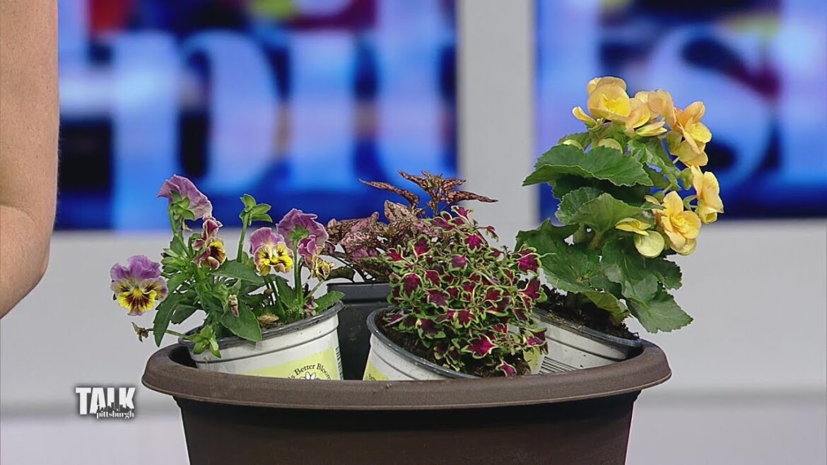 Tips for growing a garden in limited urban space