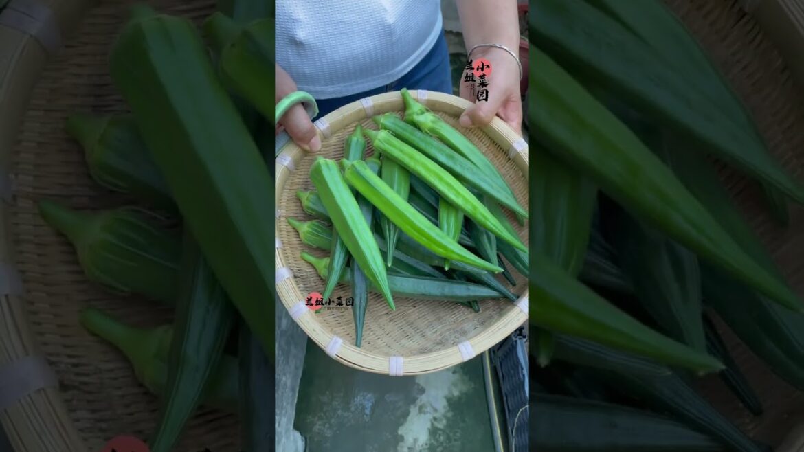 I growing garden at home by Meimei #garden #short