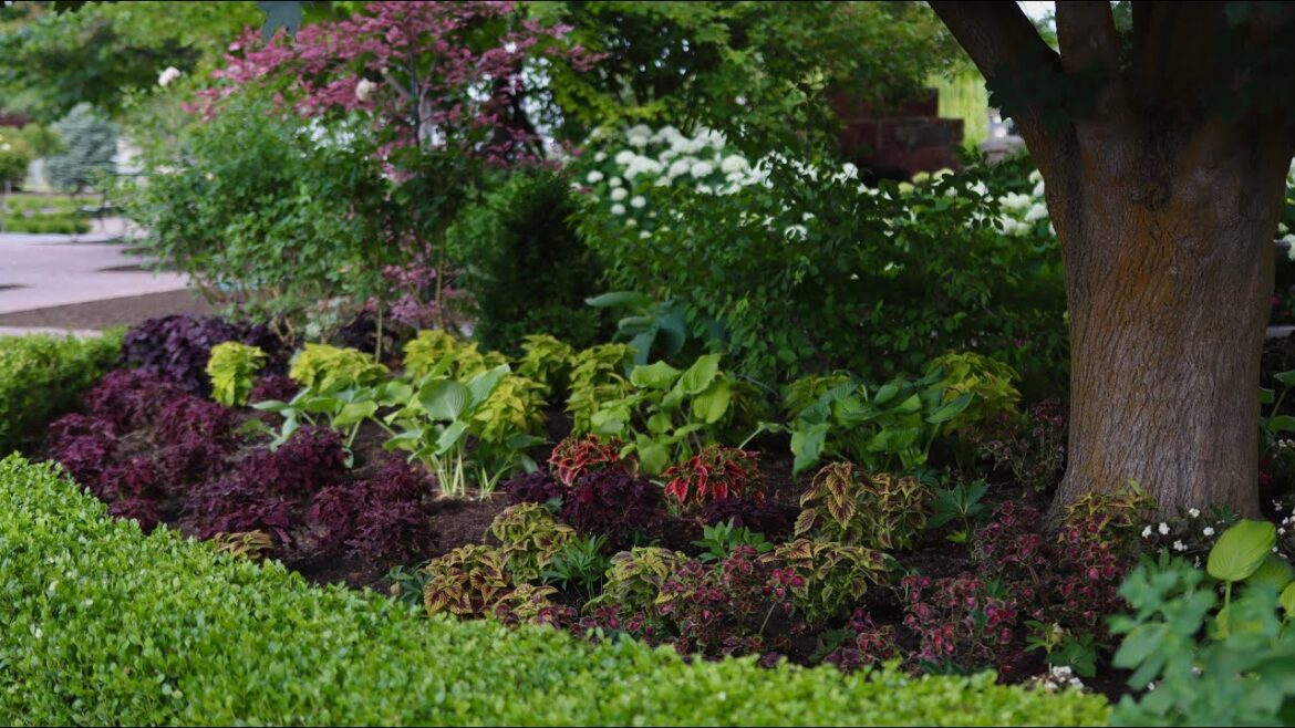 Coleus Planting & Pulling Some BIG Weeds! 😆🥴🌿 // Garden Answer