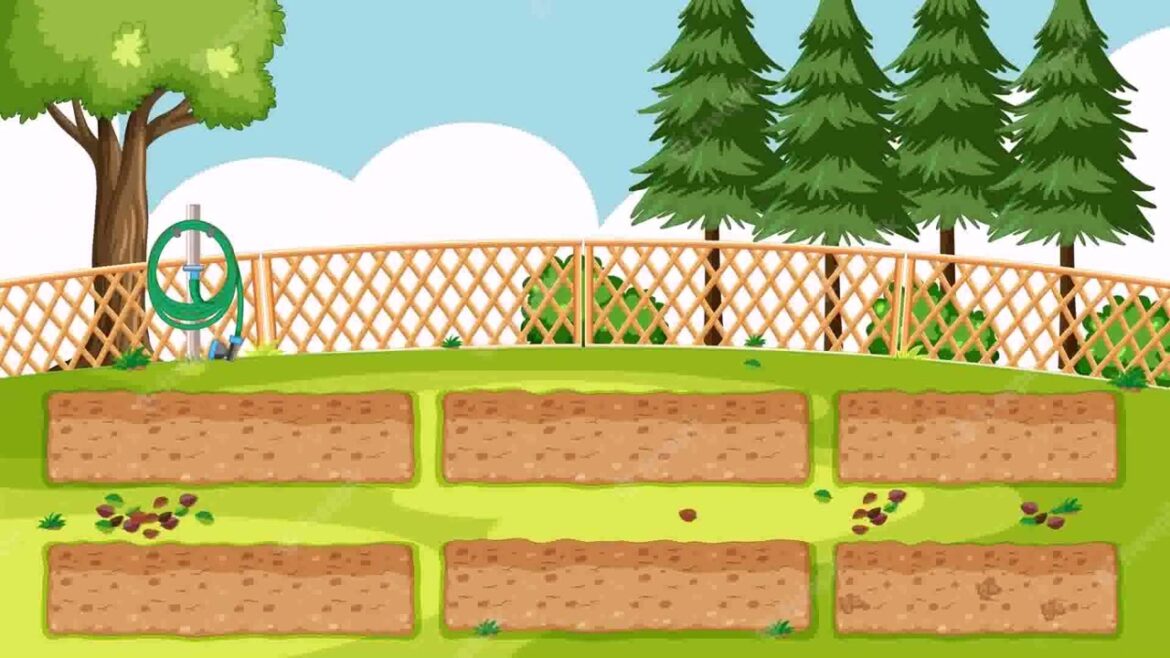 Vegetable Gardening Layout Ideas