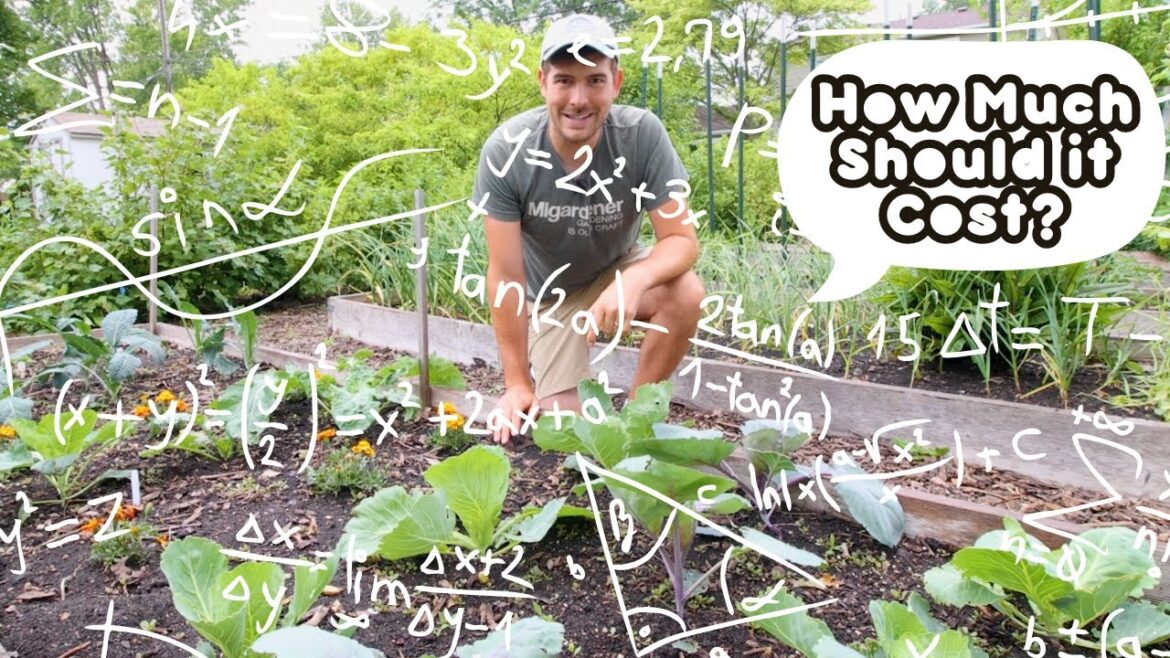 How Much Should The Ideal Garden Cost?