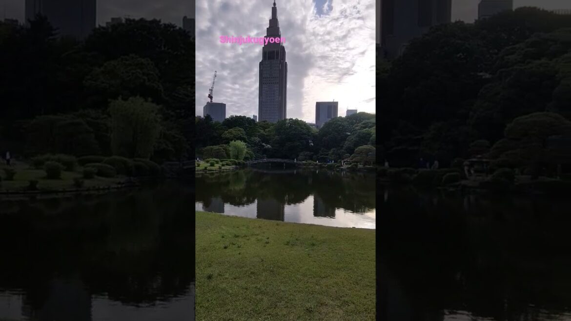 japanese garden at shinjukugyoen