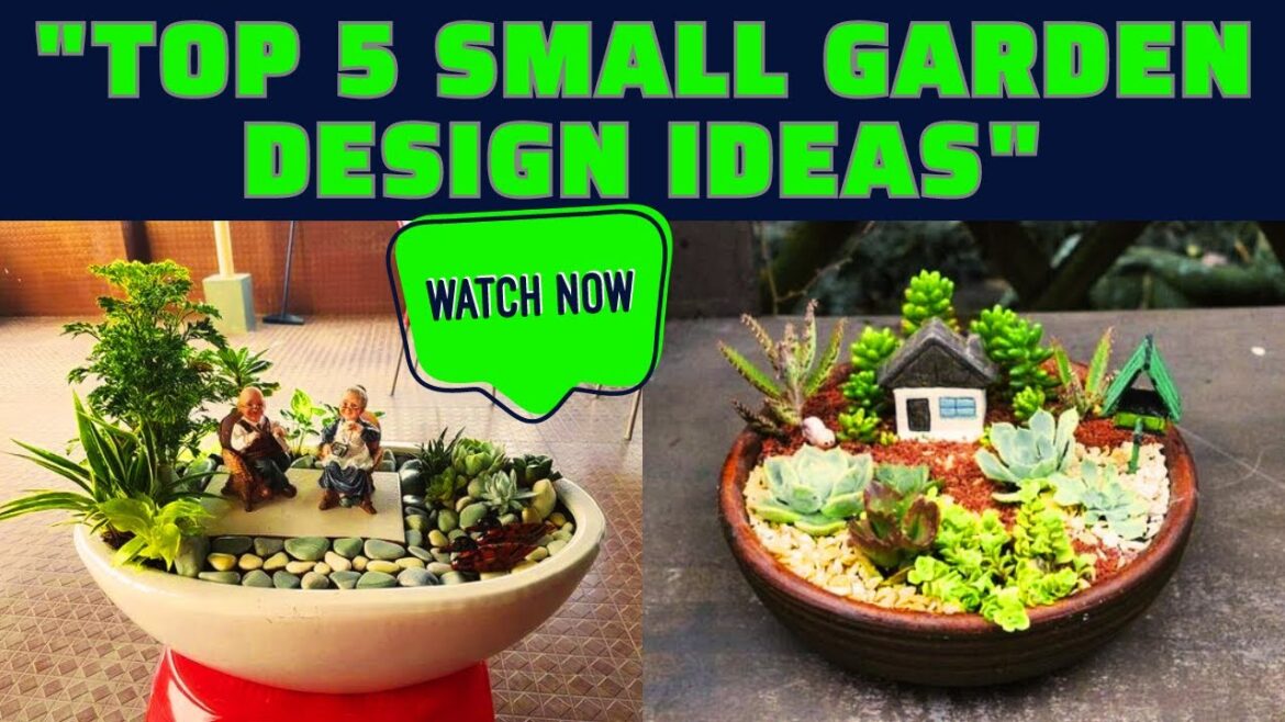 Top 5 small garden design ideas |small Garden | Top 5 small garden design ideas |small Garden |