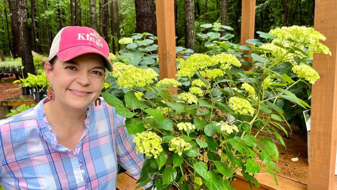 Nursery Tour For Shade Gardens & Summer Annuals | Gardening with Creekside Nursery Tour For Shade Gardens & Summer Annuals | Gardening with Creekside