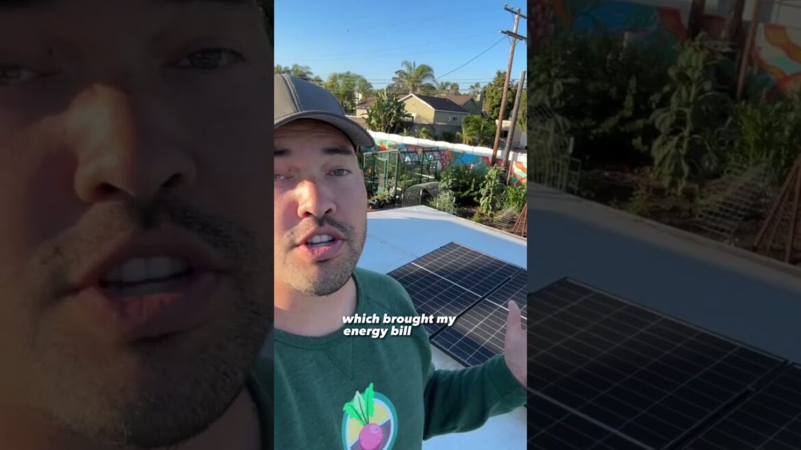 I turned a bare lot into an epic urban homestead