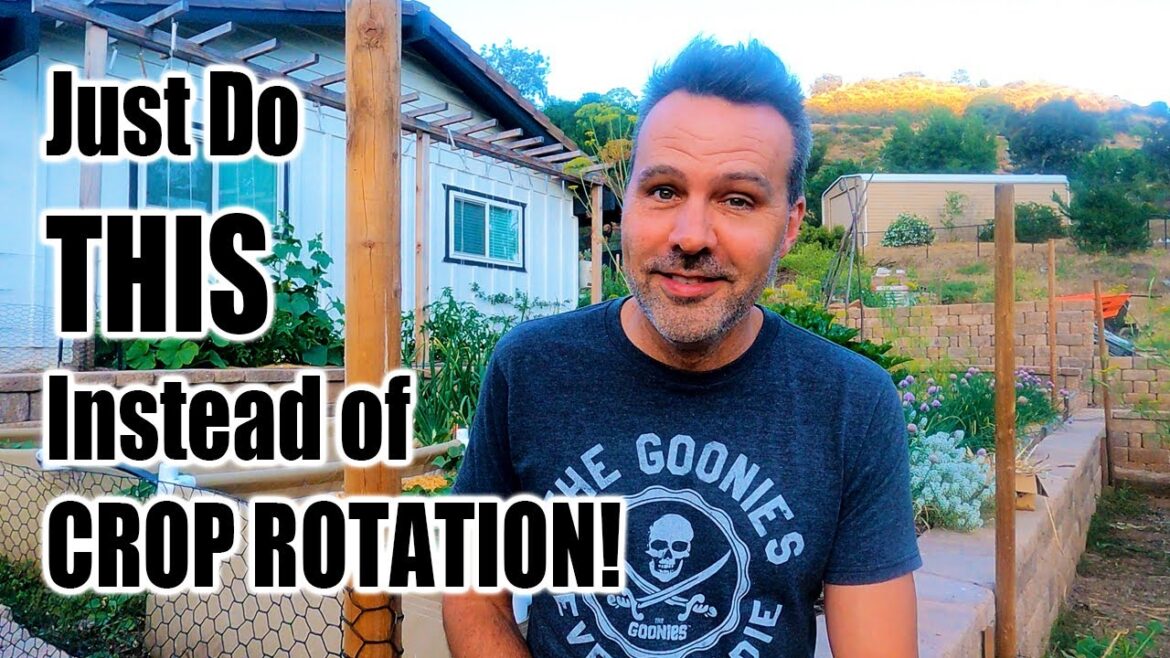 California Garden TV: Do you NEED to Rotate Your Crops? Do you NEED to Rotate Your Crops?