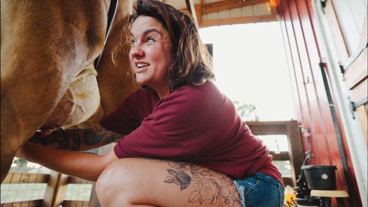 I missed another one (Two new animals on the farm) | VLOG