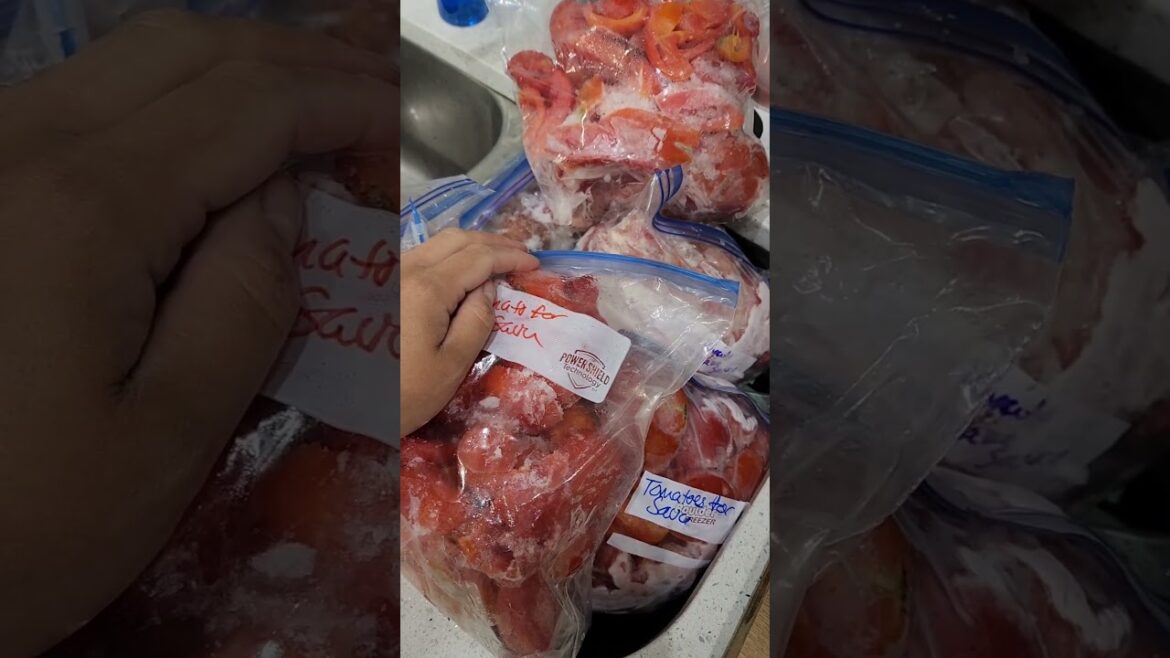 Freezing Tomatoes For Canning- How To Make Tomato Sauce Very Quickly #tomato #canning #garden #sauce Freezing Tomatoes For Canning- How To Make Tomato Sauce Very Quickly #tomato #canning #garden #sauce