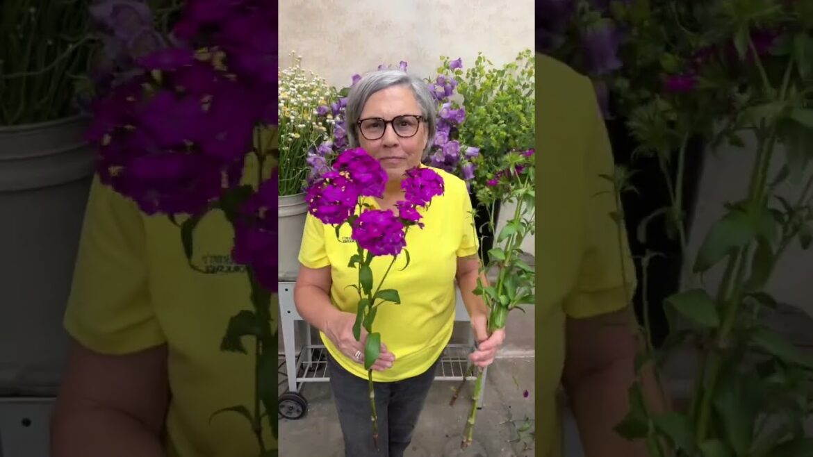 Cool Flowers not on your mind? They should be! Cool Flowers not on your mind? They should be!