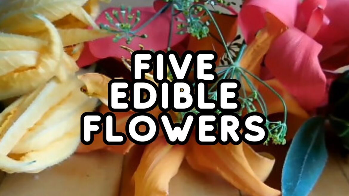 Flower Power | Five Edible Flowers To Grow | Making A Flower Salad | How Nutritious Are Flowers?