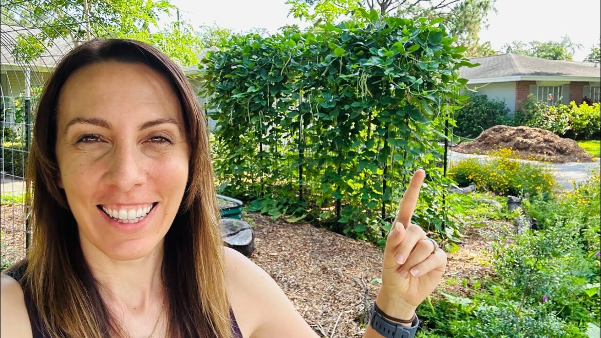 Unbelievable Tips for Growing a Successful Florida Vegetable Garden Unbelievable Tips for Growing a Successful Florida Vegetable Garden