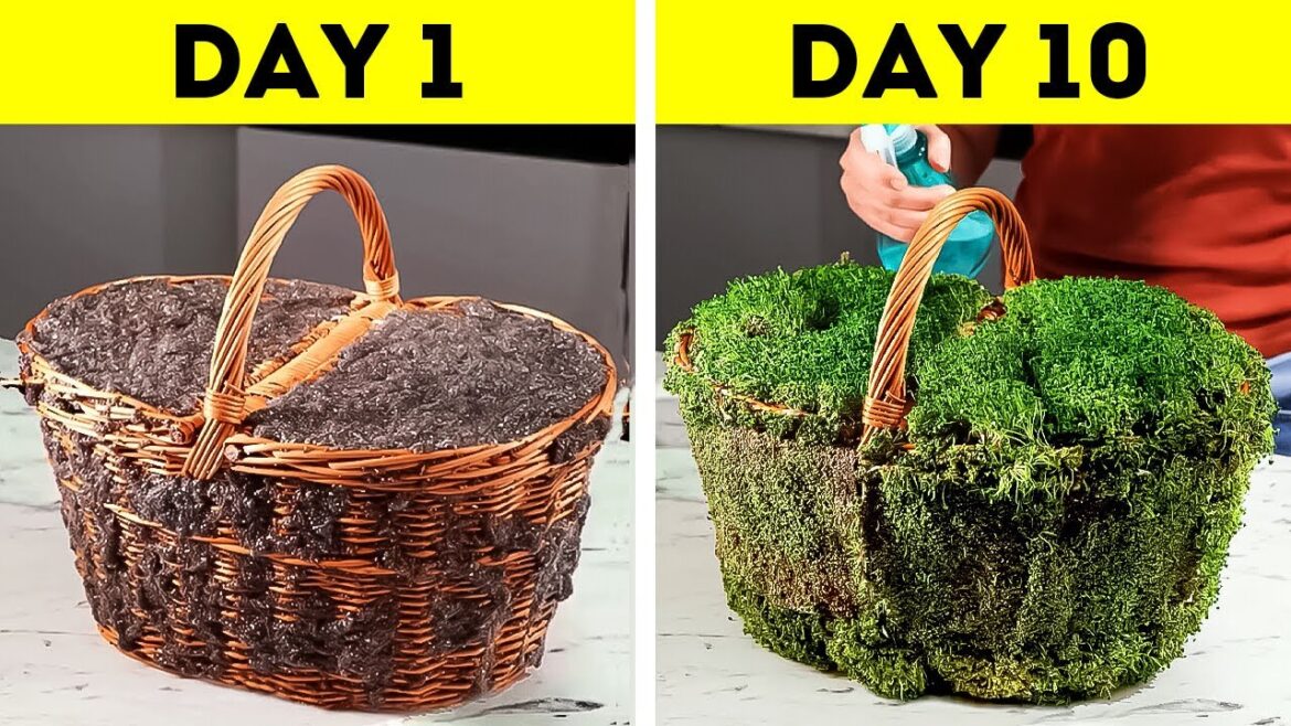 Simple Gardening Hacks to Grow Anything You Want Simple Gardening Hacks to Grow Anything You Want