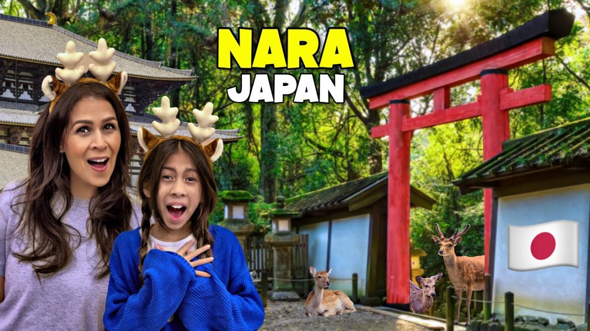 Bowing Deer of Nara, Japan Bowing Deer of Nara, Japan