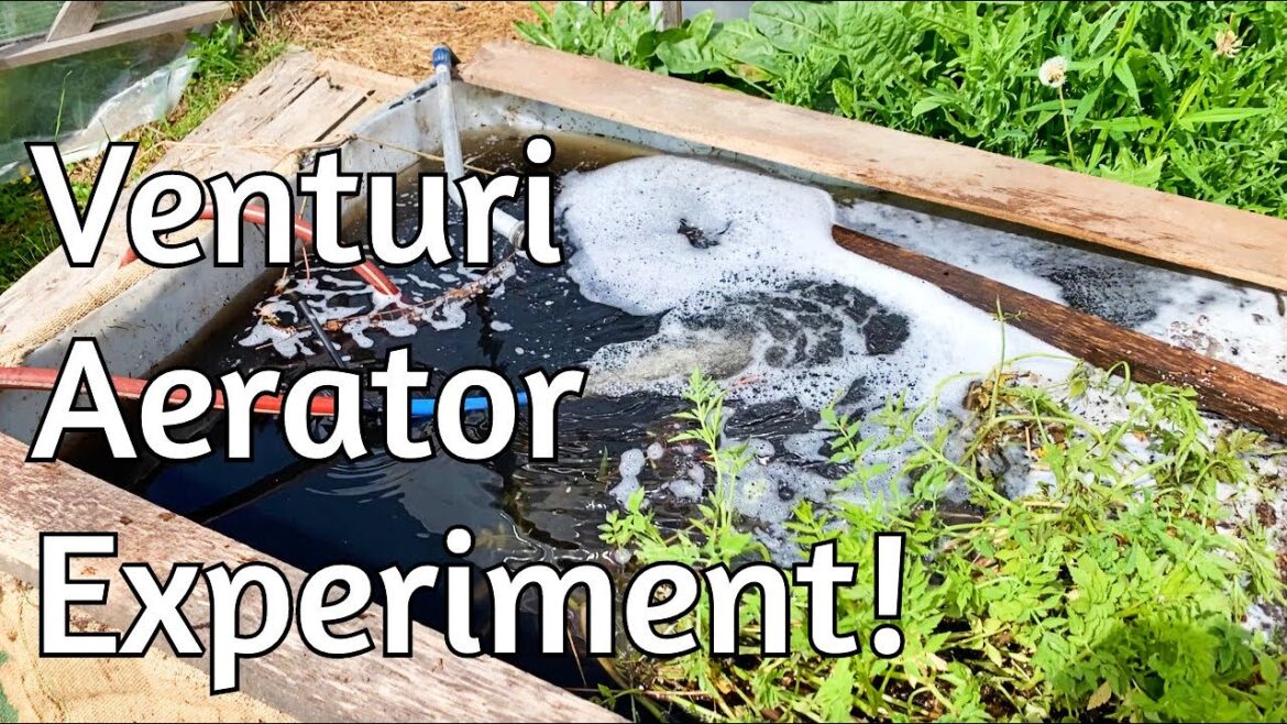 Compost Tea – 2 – Aeration! (and other progress) Compost Tea - 2 - Aeration! (and other progress)