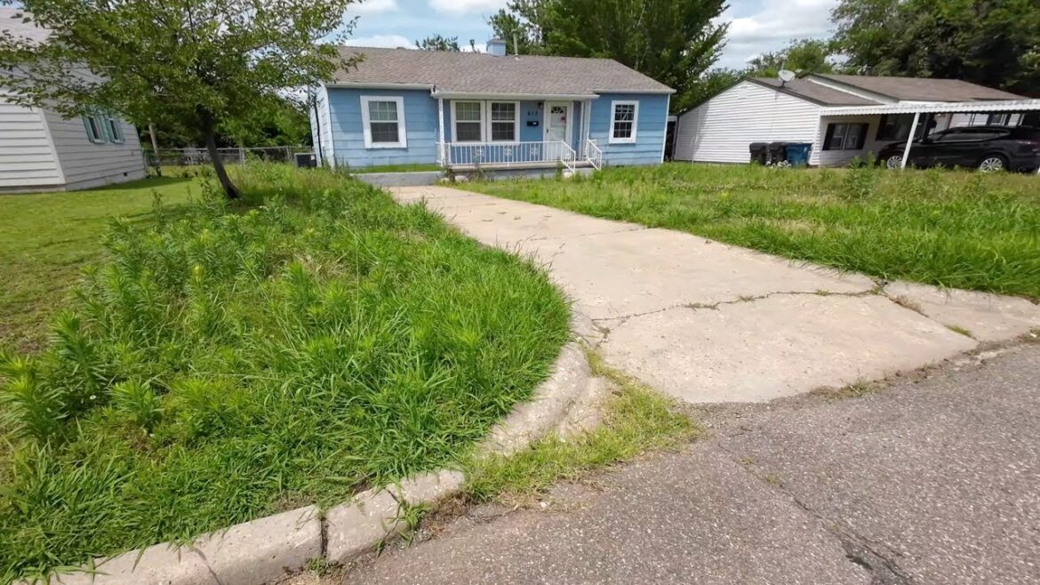 VACANT Home is becoming an EYESORE due to OVERGROWN lawn so I made it cute again