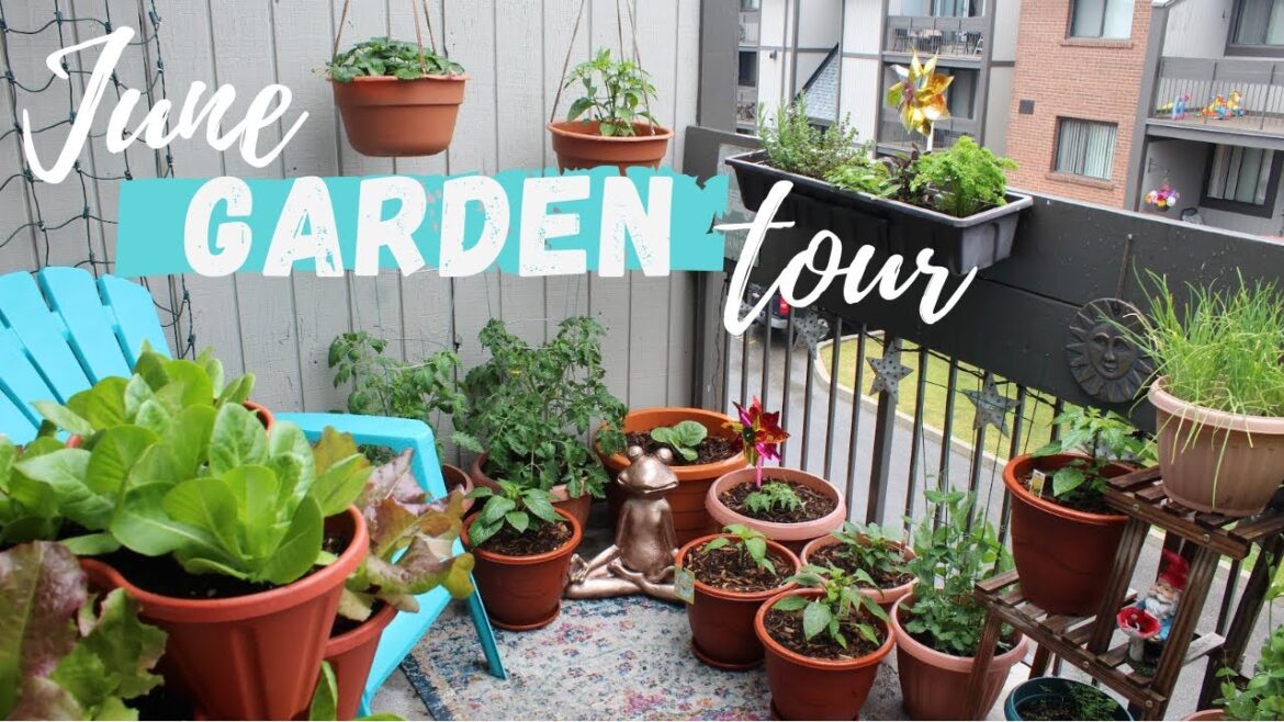 Container Garden Tour | Growing on My 84 Sq Ft Balcony!