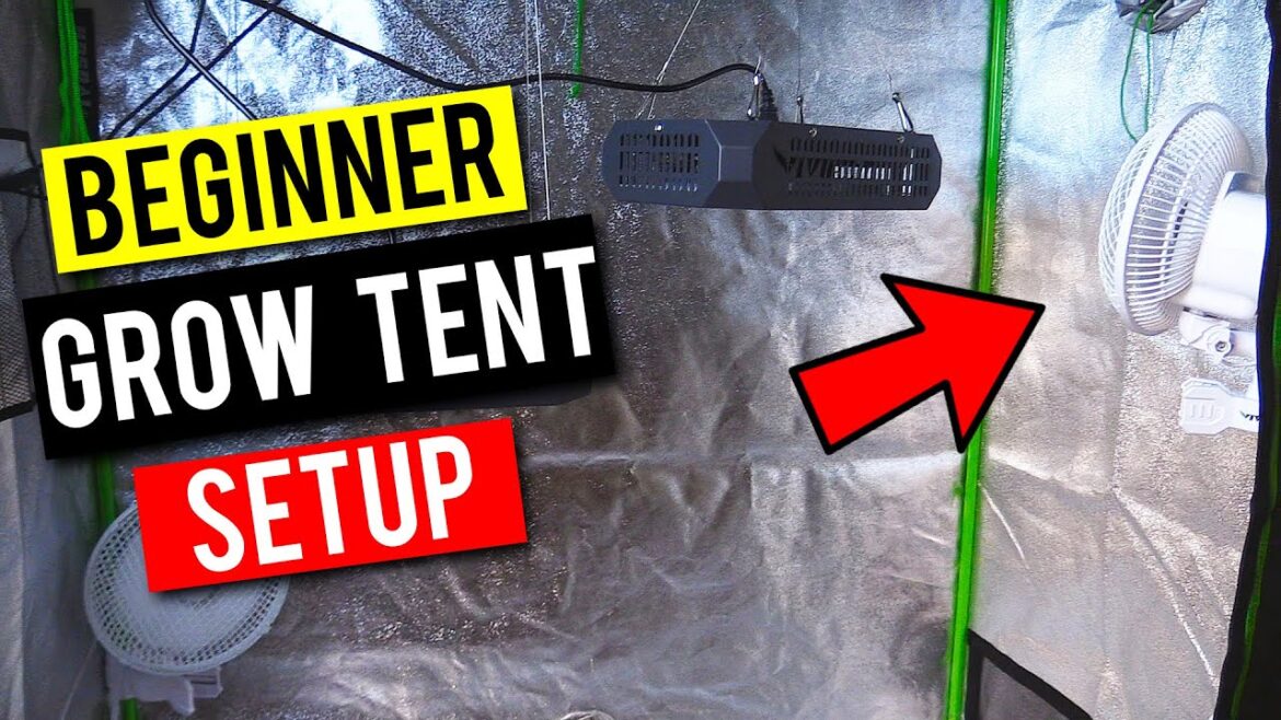 Easy Grow Tent Setup For Beginners & Planting Seeds Easy Grow Tent Setup For Beginners & Planting Seeds