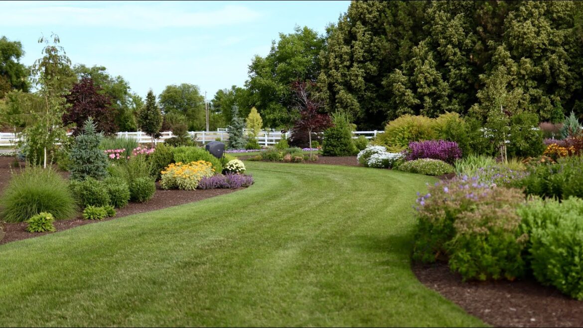 June Tour of Our South Garden! 🌿 // Garden Answer