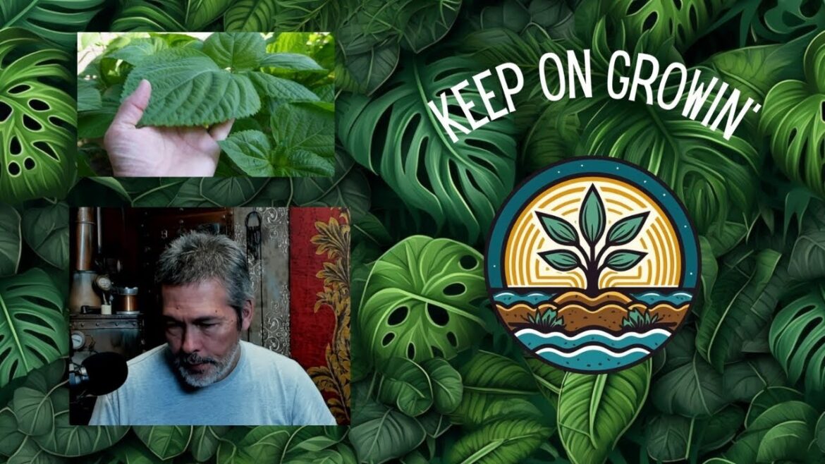 My Biggest Gardening Failure My Biggest Gardening Failure