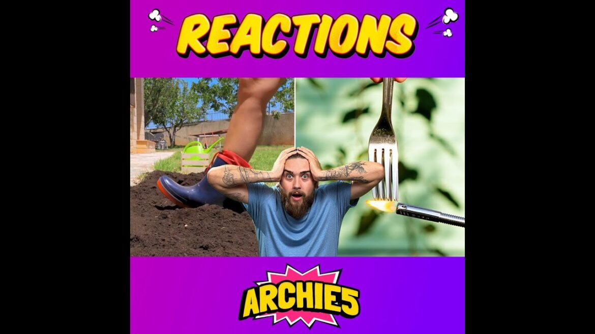 DIY Outdoor Kitchen In Your Garden?!?! 😍🌻 #shorts #reaction