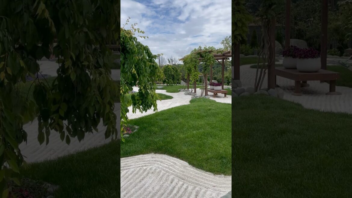 Japanese garden #krasnodar #respect #citytour #russia #walk #japan #japanese #japanesegardens #park