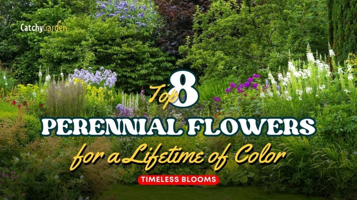 Timeless Blooms: 8 Perennial Flowers for a Lifetime of Color 🌻🌸☀️ // Gardening Ideas