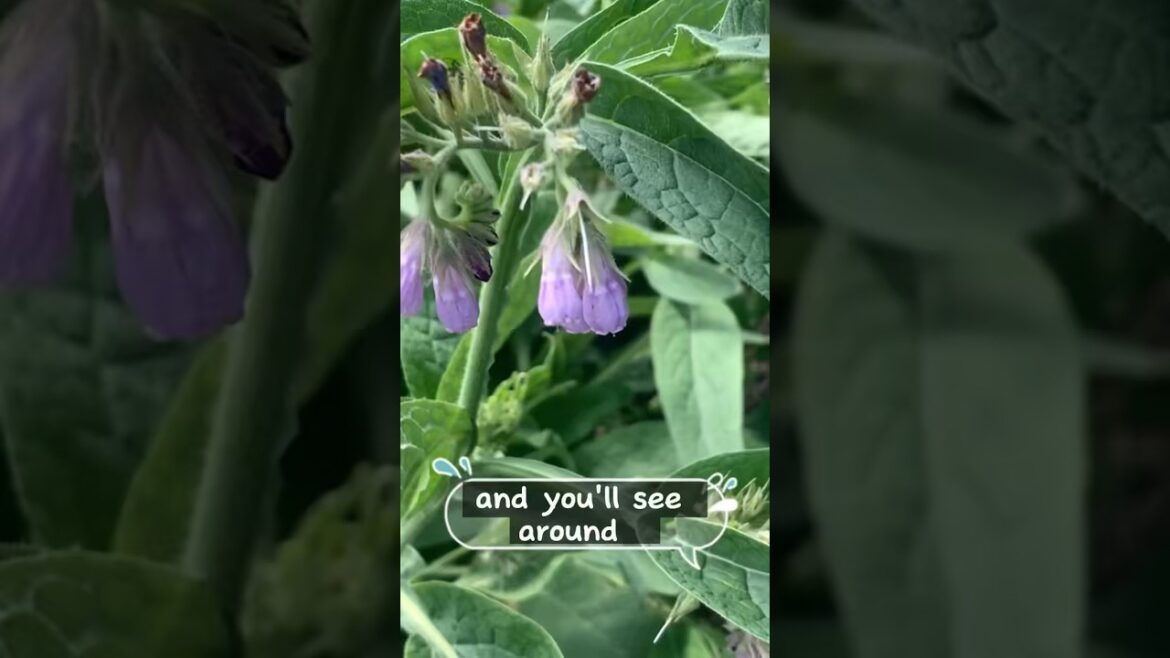 Fruit Guild in an Edible Forest #shorts #viral #permaculture #gardeningtips #edibleforest