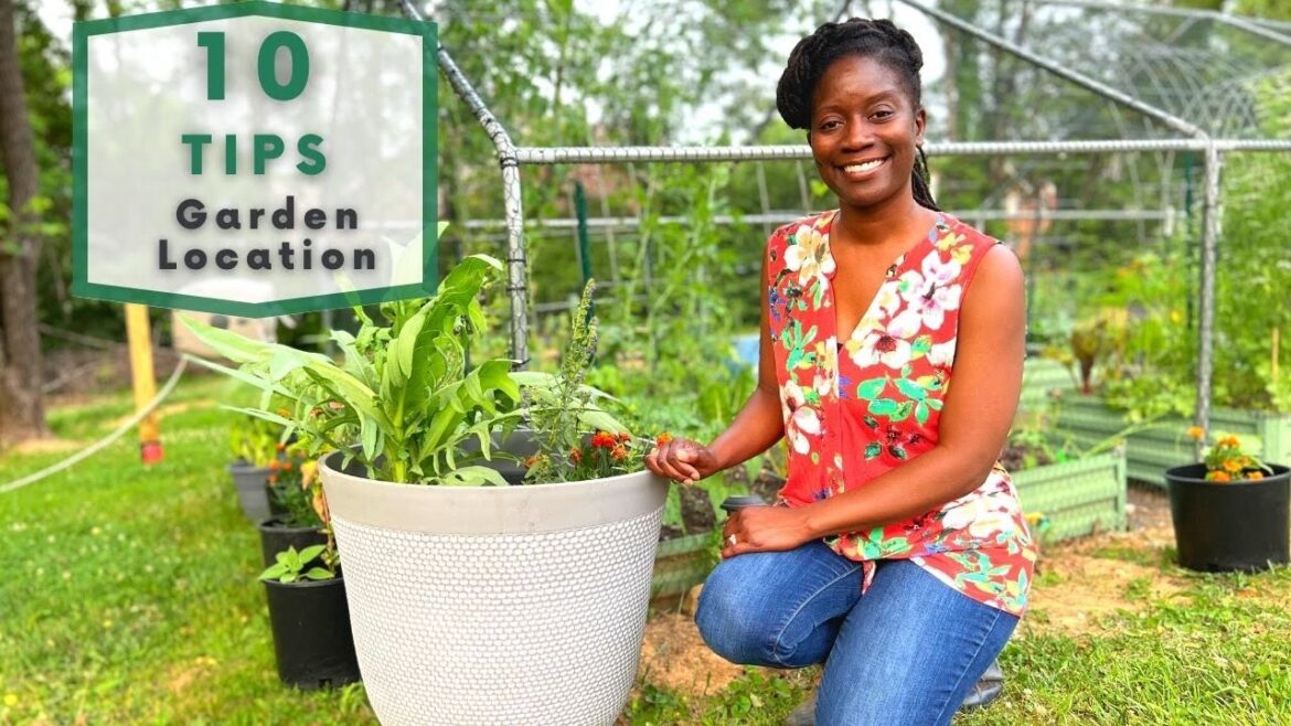 Finding a Garden Location | 8 TIPS