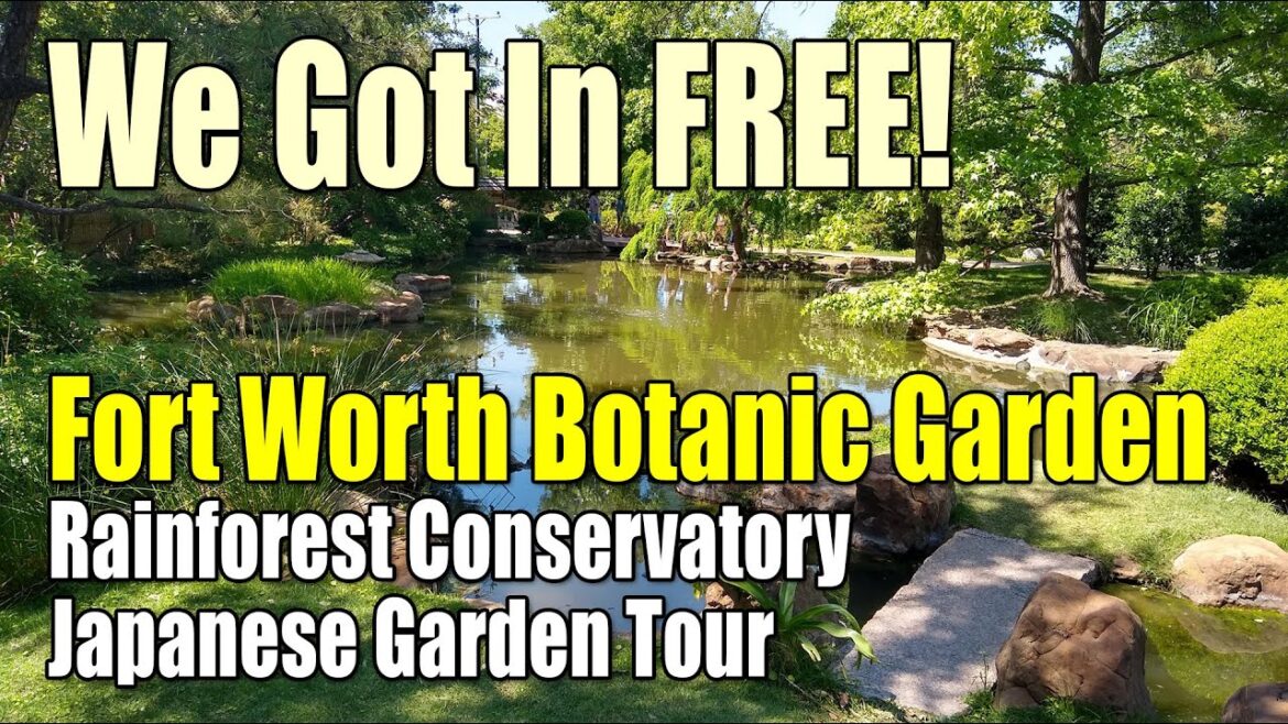 FREE ADMISSION! Fort Worth Botanic Garden, Rainforest Conservatory & Japanese Garden Tour #Gardens