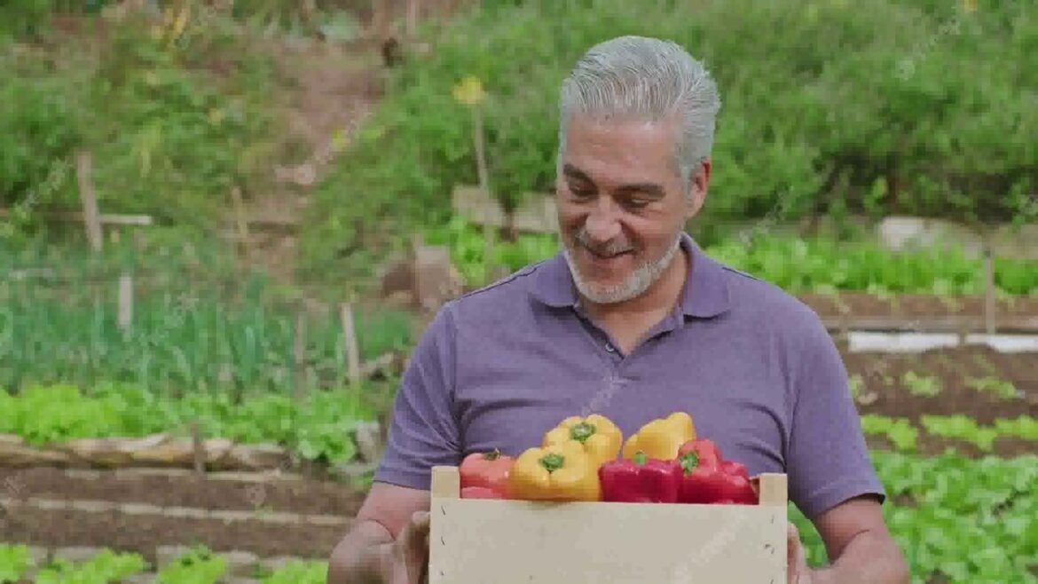 Vegetable Garden Design Ideas For Small Gardens