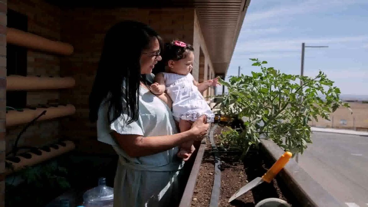 Vegetable Garden Design Ideas Australia