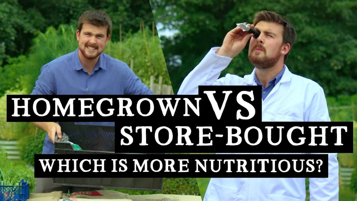 Huw Richards: Is Growing Your Own Food Actually Better? Comparing Homegrown to Supermarket Produce Is Growing Your Own Food Actually Better? Comparing Homegrown to Supermarket Produce