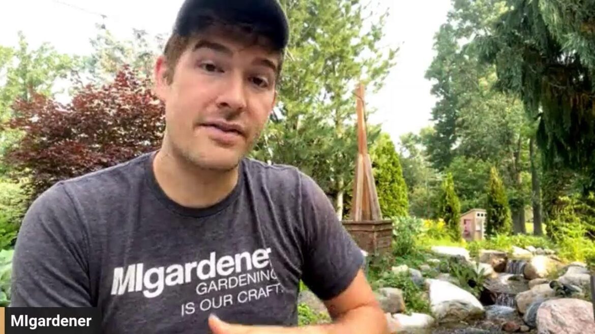 This Will Affect Your Garden