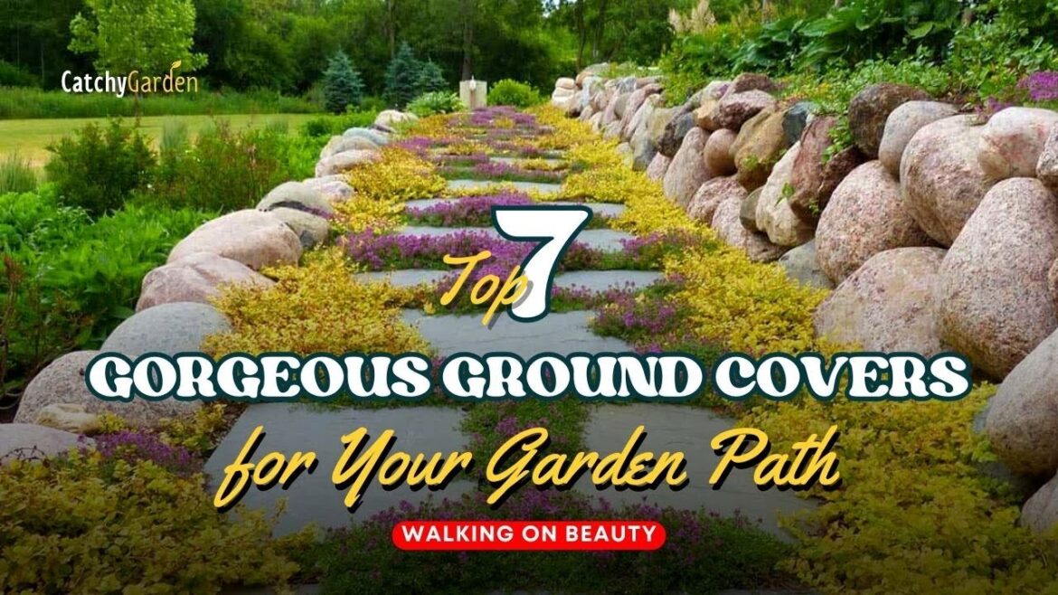 Walking on Beauty: 7 Gorgeous Groundcovers for Your Garden Path 🍃🌸☘️ // Gardening Ideas