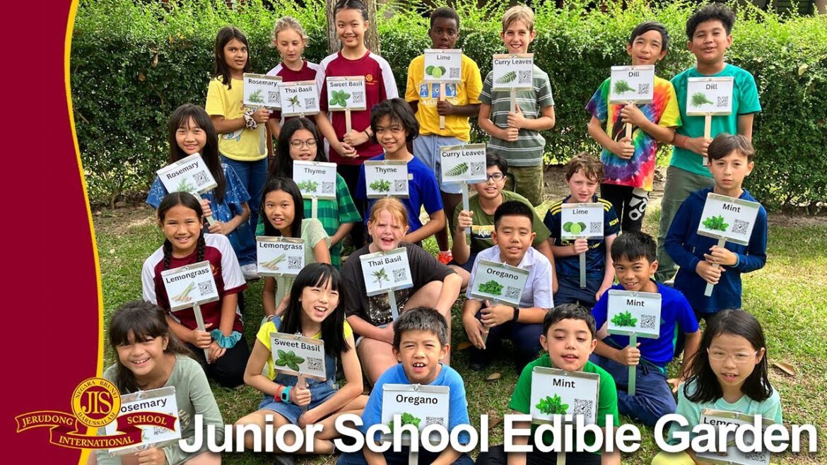 Junior School Edible Garden - Jerudong International School (JIS Brunei)