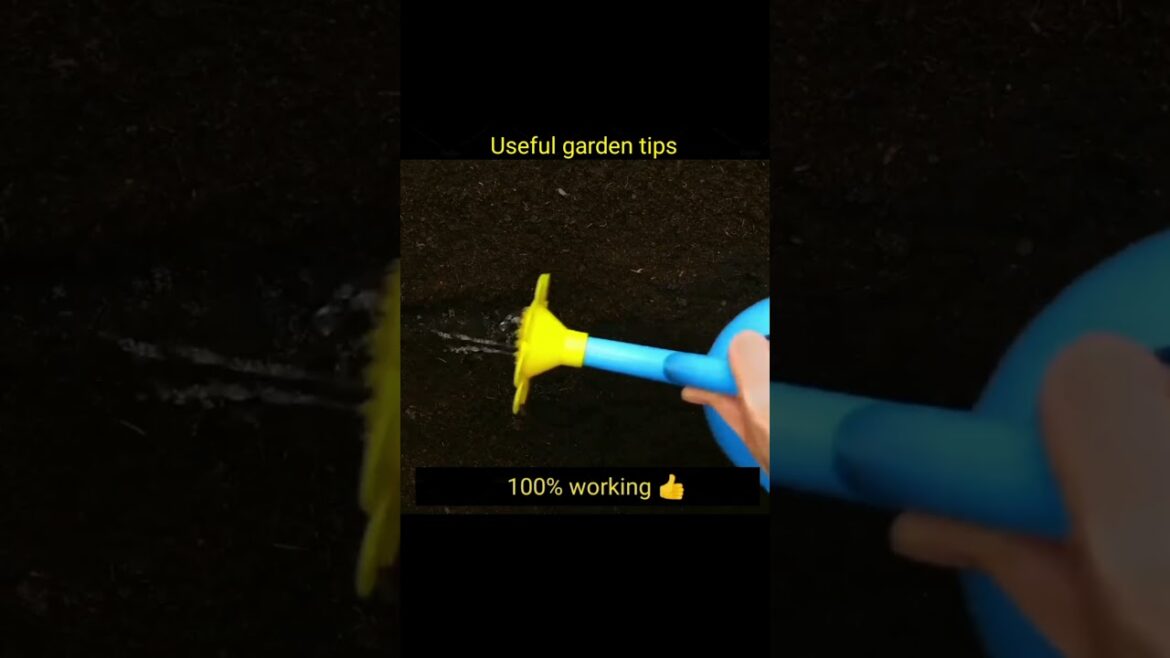 Useful gardening hacks # gardening tips # ifra craft