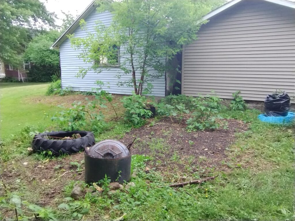 You guys like my berry bushes?