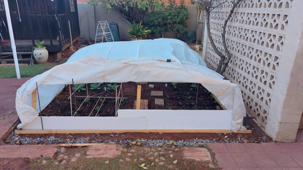 A very small greenhouse all the way from the Southern tip of Africa,South Africa,it's late fall here and we are going into winter,first frost is approaching, cabbage,broccoli,spinach,carrot,peas ,it's 36 Fahrenheit and 2 celcuis, #firstbuild